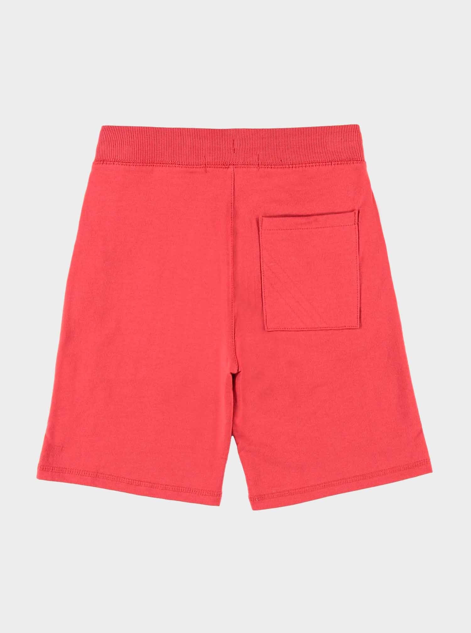Kids Boy  Short /  Half Pants